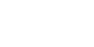 Primary Raster logo